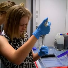 Loading...